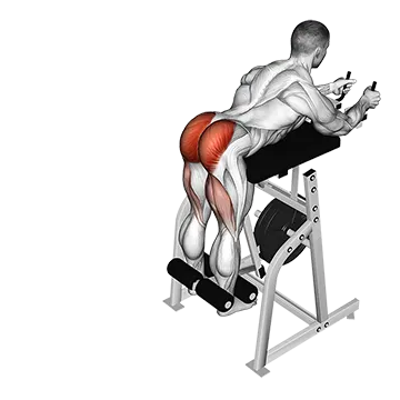 Lever Reverse Hyperextension (plate loaded)
