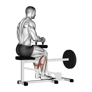 Lever Seated Calf Raise (plate loaded)