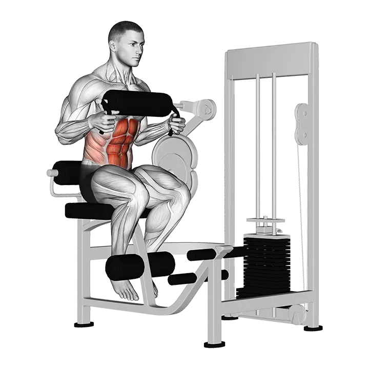 Lever Seated Crunch (chest pad) exercise animation (Male)