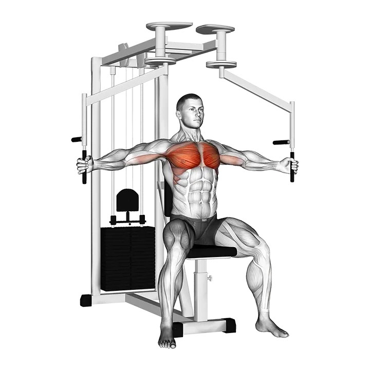 Lever Seated Fly exercise animation (Male)