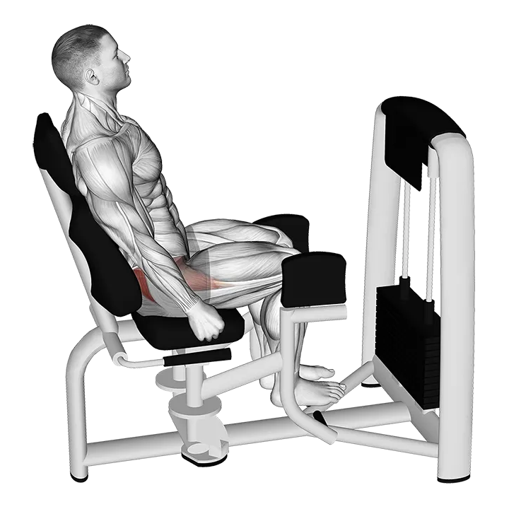 Lever Seated Hip Abduction exercise animation (Male)