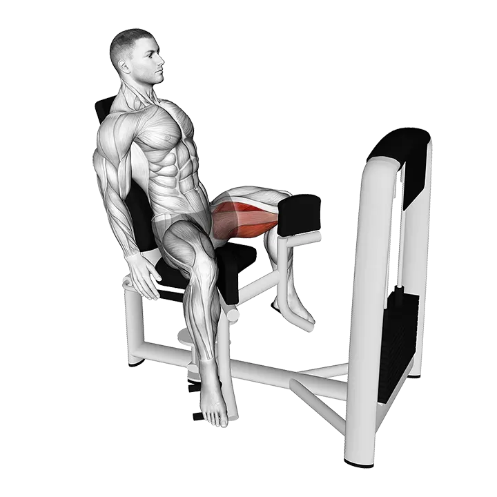 Lever Seated Hip Adduction exercise animation (Male)