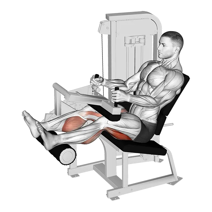Lever Seated Leg Curl exercise animation (Male)