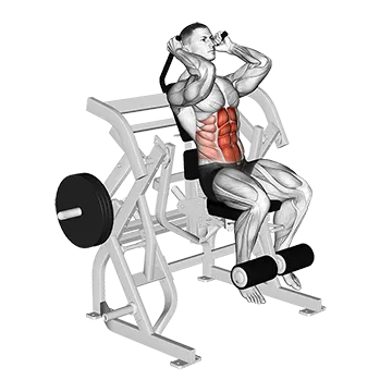 Lever Seated Leg Raise Crunch (plate loaded)