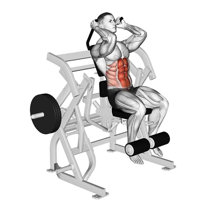 Lever Seated Leg Raise Crunch (plate loaded) exercise animation (Male)