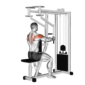 Lever Seated Reverse Fly (parallel grip)