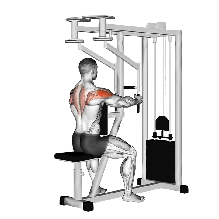 Lever Seated Reverse Fly (parallel grip) exercise animation (Male)