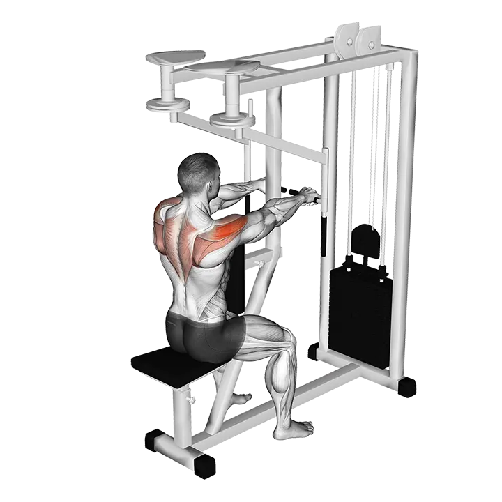 Lever Seated Reverse Fly exercise animation (Male)