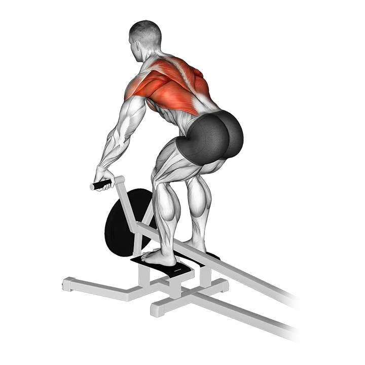 Lever T bar Row (plate loaded) exercise animation (Male)