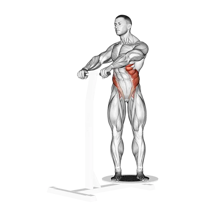 Lever Twist exercise animation (Male)