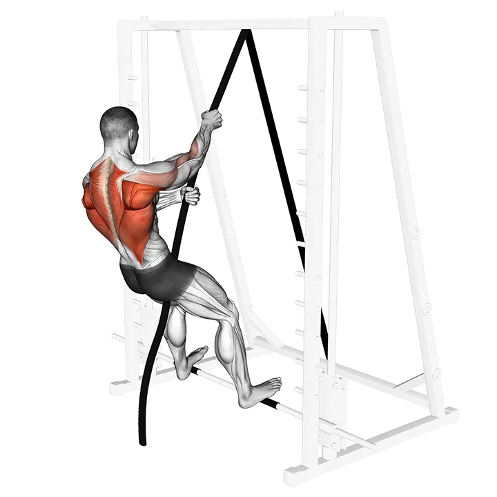 London Bridge exercise animation (Male)