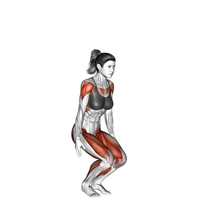 Low Jacks exercise animation (Female)