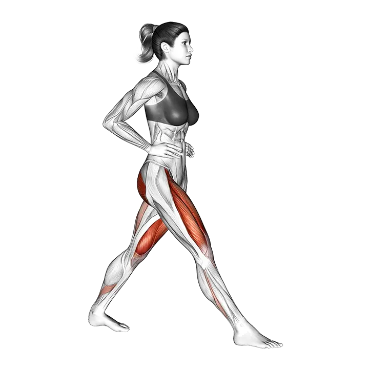 Lunge exercise animation (Female)