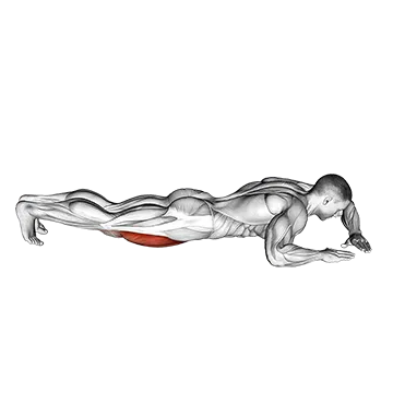 Lying (side) Quadriceps Stretch