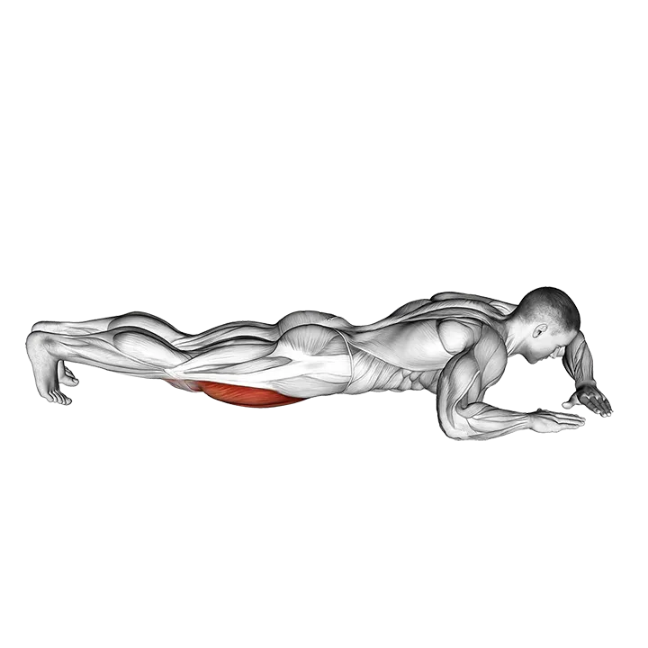 Lying (side) Quadriceps Stretch exercise animation (Male)