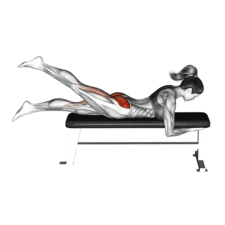 Lying Alternate Hip Extension exercise animation (Female)