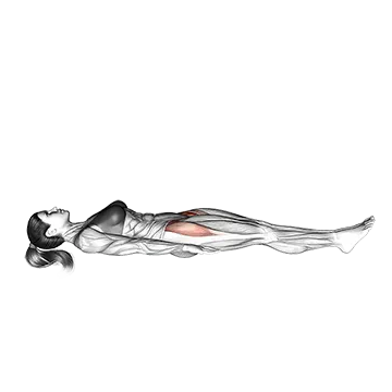 Lying Hip Leg Raise (on floor)