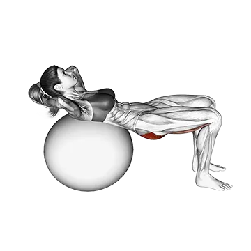 Lying Hip Lift (on stability ball)