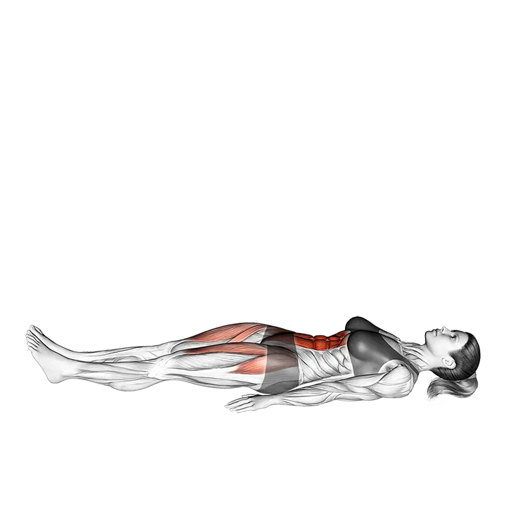 Lying Hip Straight Leg Raise exercise animation (Female)
