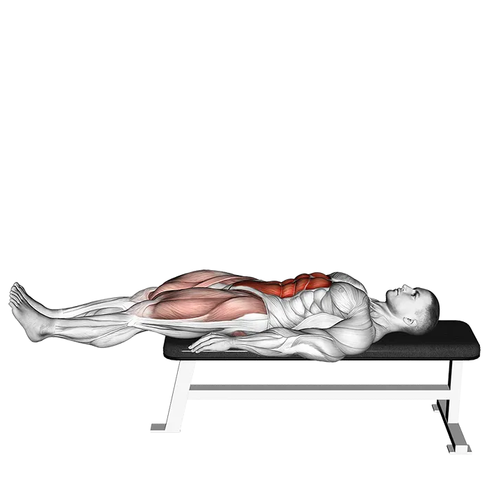 Lying Leg Raise Flat Bench exercise animation (Hombre)