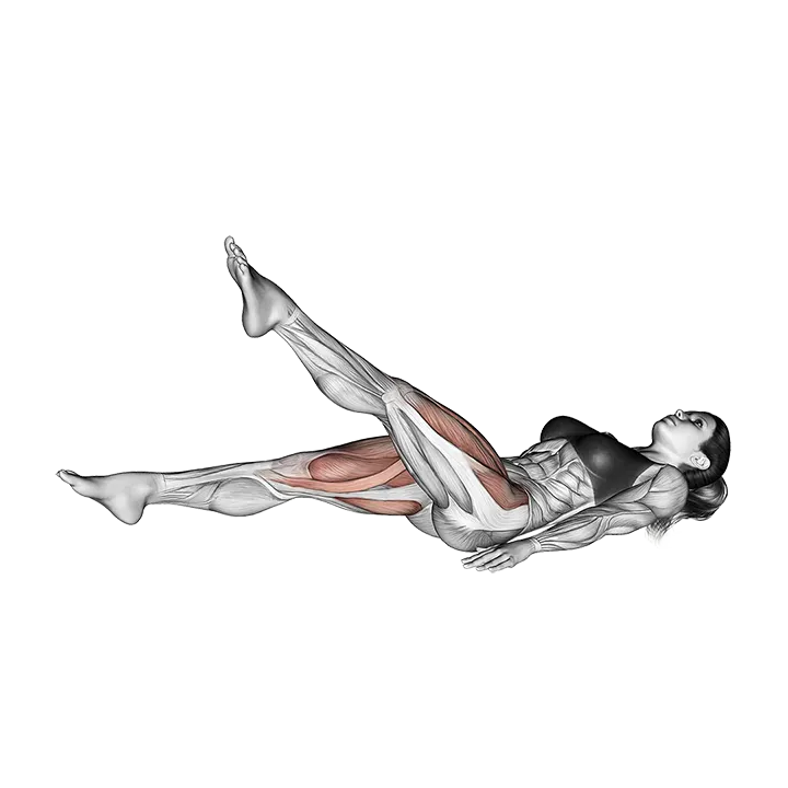 Lying Scissor Kick exercise animation (Mujer)