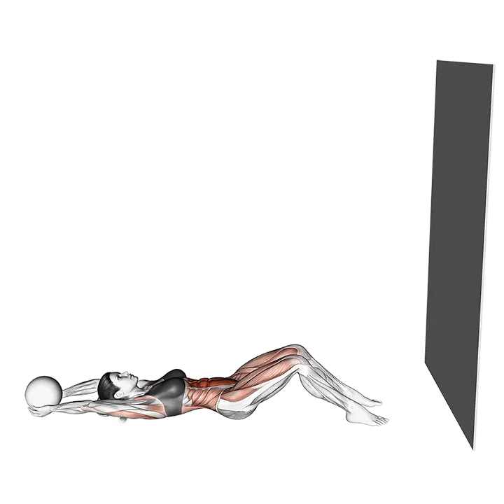 Medicine Ball Sit up (wall) exercise animation (Female)