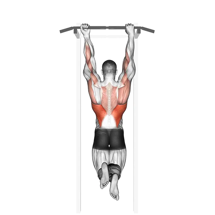 Mixed Grip Chin-up exercise animation (Male)