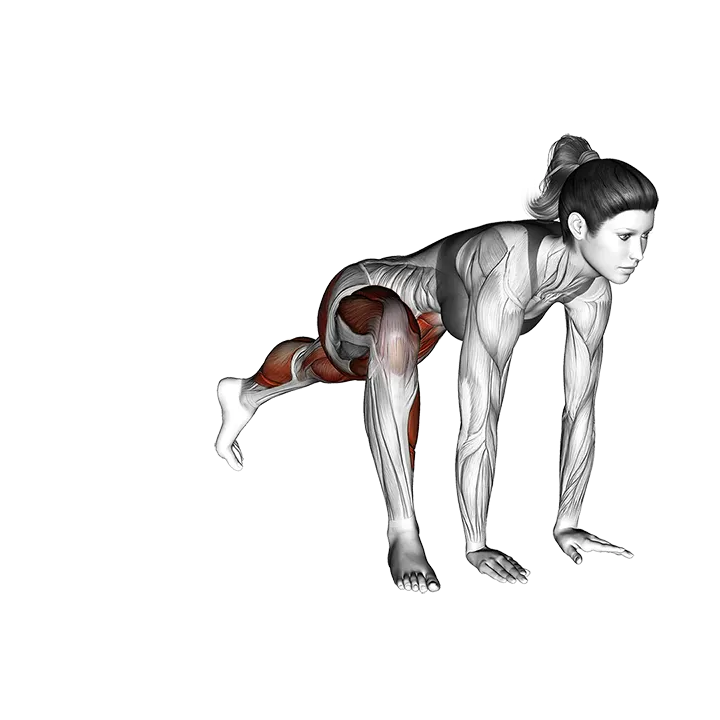 Mountain Climber Lunge exercise animation (Female)