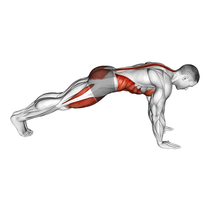 Mountain Climber exercise animation (Male)