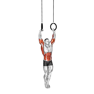 Muscle Up