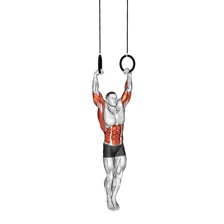 Muscle Up exercise animation (Male)