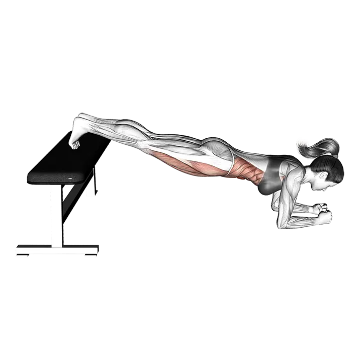 Narrow Leg Bench Bridge exercise animation (Female)