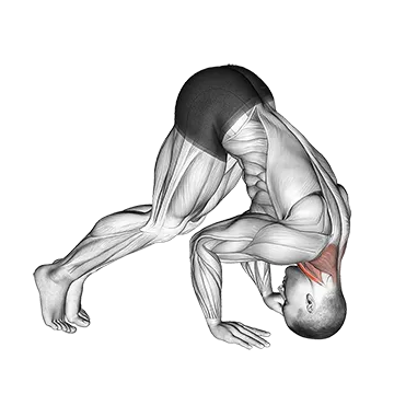 Neck Bridge Prone