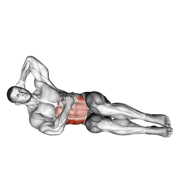 Oblique Crunches Floor exercise animation (Male)