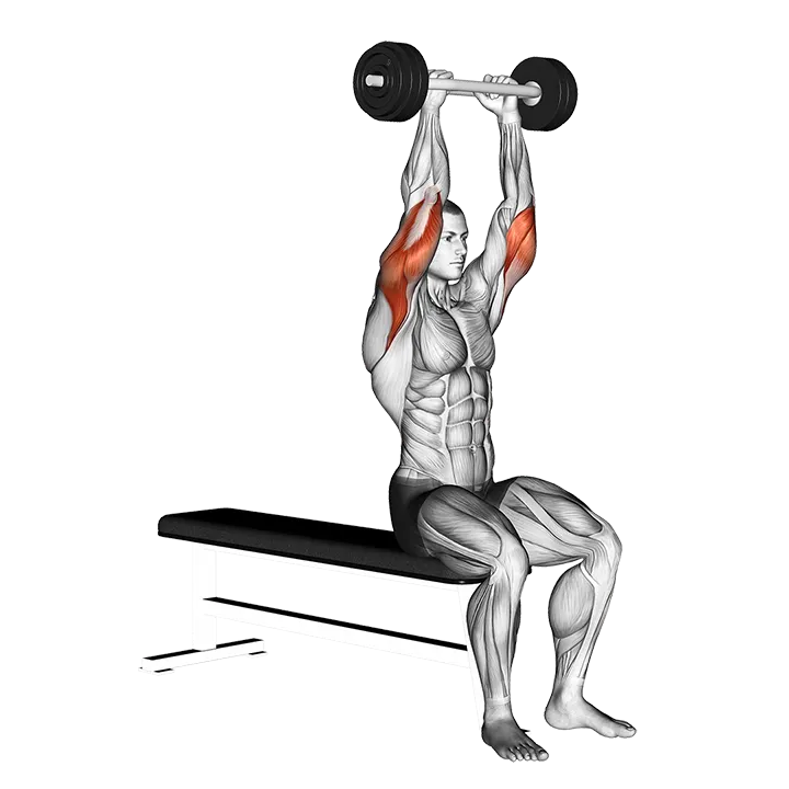 Olympic Barbell Triceps Extension exercise animation (Male)