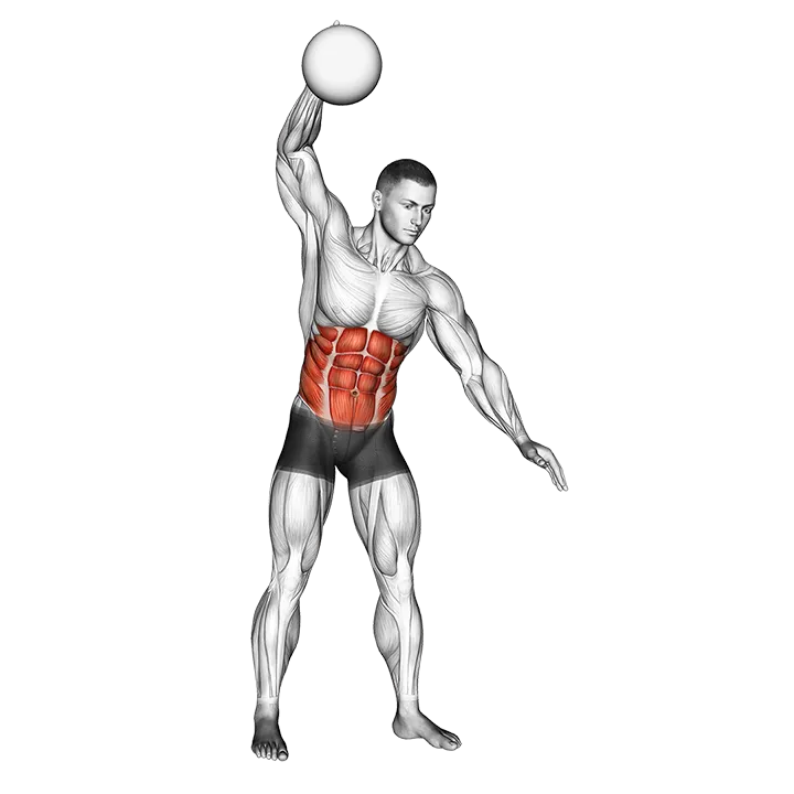 One Arm Slam (with medicine ball) exercise animation (Male)
