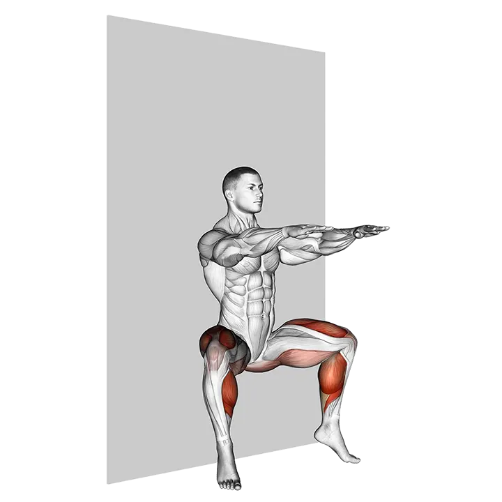 Plyo Sit Squat (wall) exercise animation (Male)
