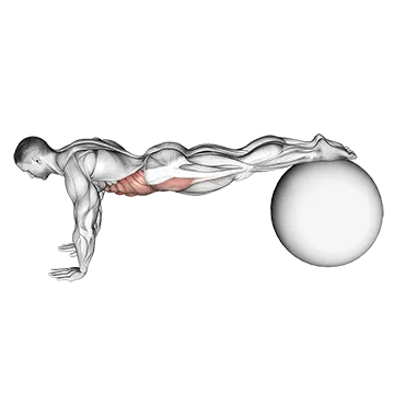 Pull-In (on stability ball)