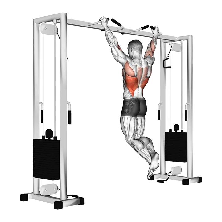 Pull up (neutral grip) exercise animation (Male)