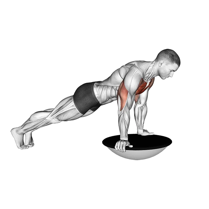 Push-up (bosu ball) exercise animation (Male)