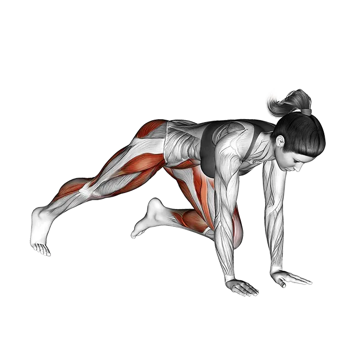 Push-up (knee chest) exercise animation (Female)