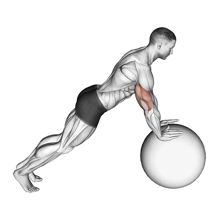 Push-up (on stability ball) exercise animation (Male)