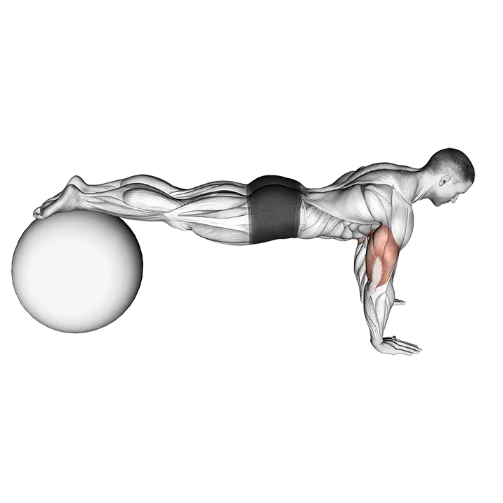Push-Up (on stability ball) exercise animation (Hombre)