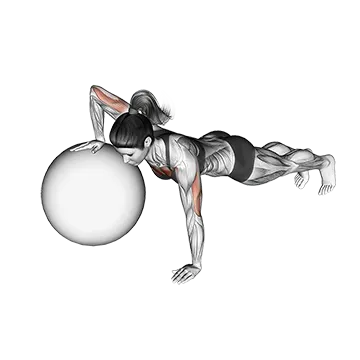 Push-up (one arm on stability ball)