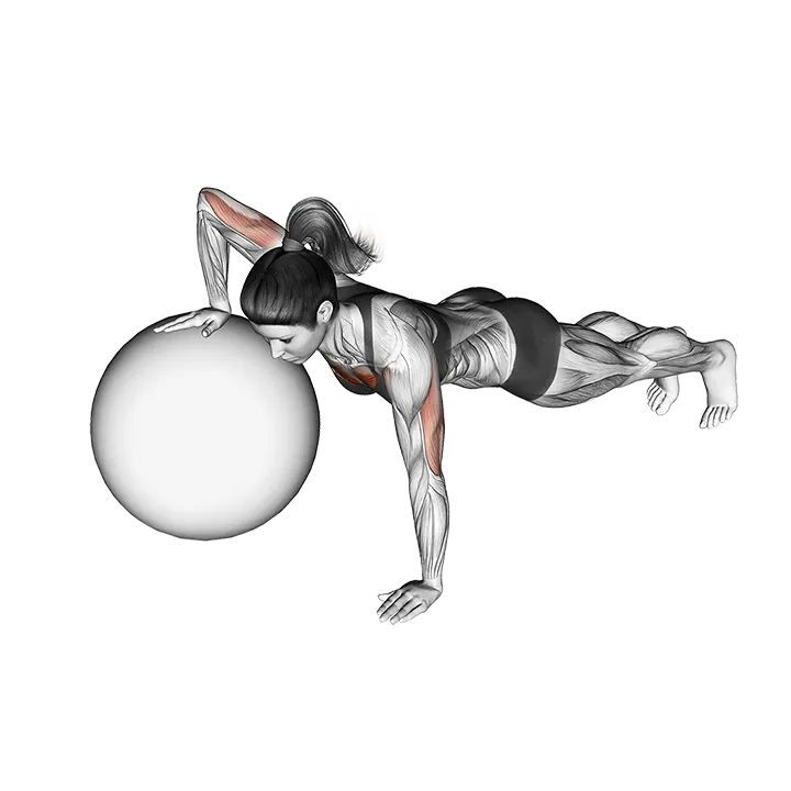 Push-up (one arm on stability ball) exercise animation (Female)