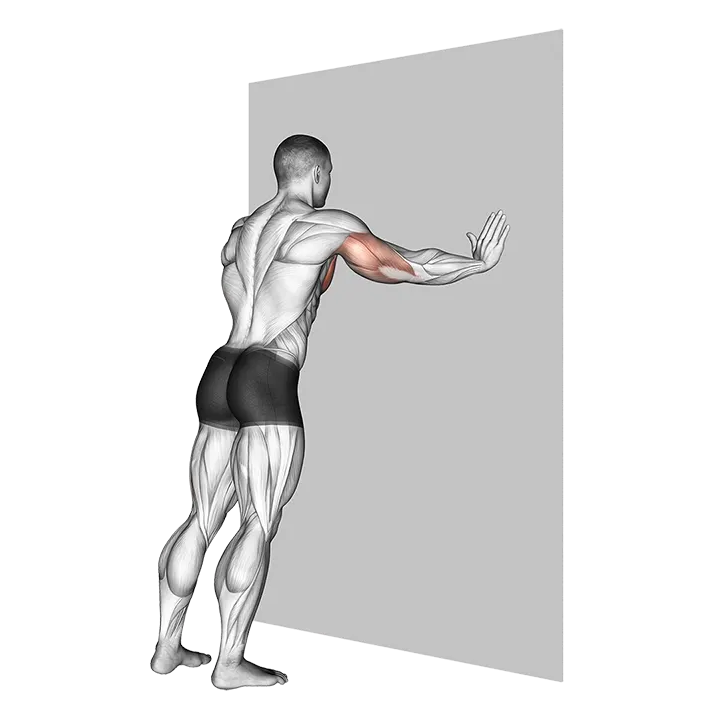 Push-up (wall) (version 2) exercise animation (Male)