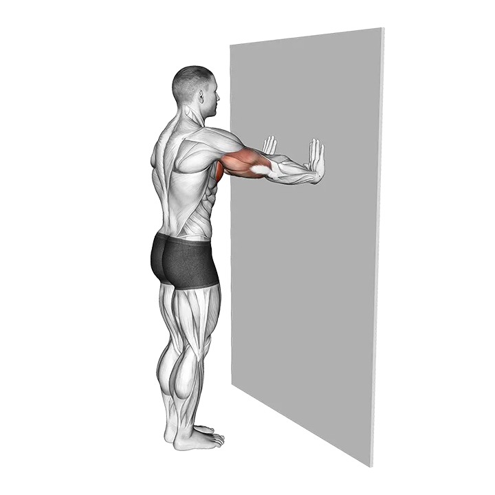 Push-up (wall) exercise animation (Male)