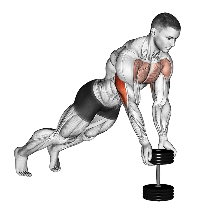 Push-Up Close-grip off Dumbbell exercise animation (Male)