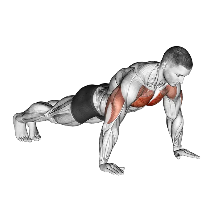 Push-up exercise animation (Male)