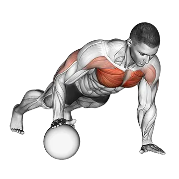 Push-Up Medicine Ball